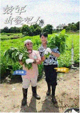 蜜桃直播年度盛典
